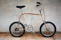 29er