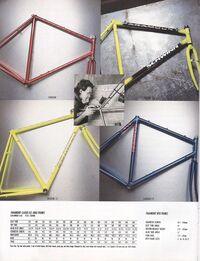 Schwinn