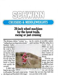 Schwinn