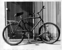 29er