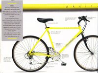 Diamondback