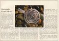 Thumbnail for version as of 23:01, 24 May 2025