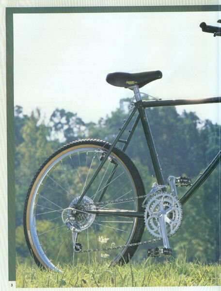 File:85Schwinn3lg.jpg