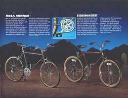 Schwinn