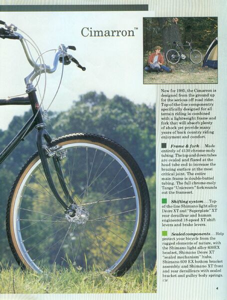 File:85Schwinn4lg.jpg